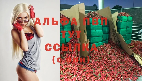 прущий лед Сосновый Бор