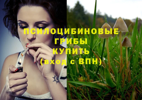 MESCALINE Сосновка